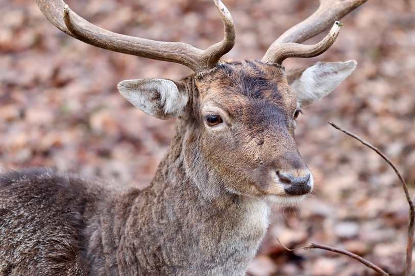Educação em Itabuna