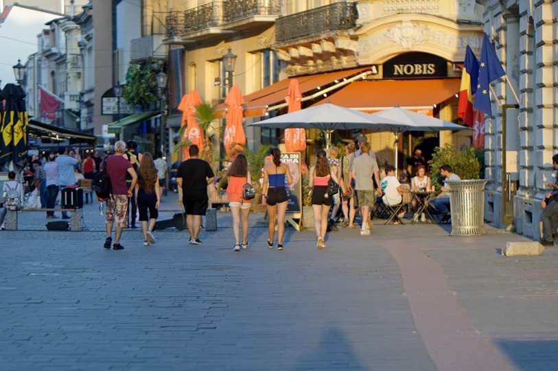 Campanha de vacinação antirrábica em Ilhéus: veja o cronograma da semana de 21 a 25 de agosto.