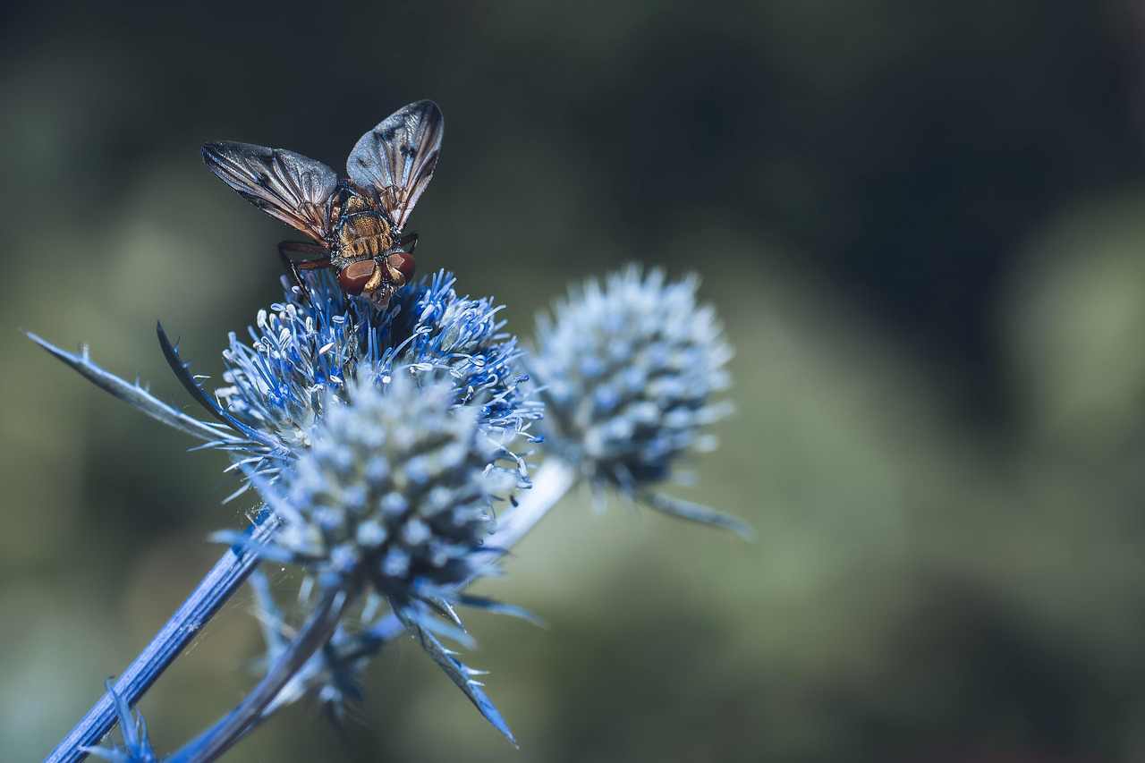Museu do Cacau em Ilhéus amplia acervo