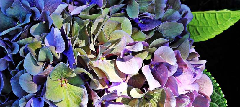 Seresta dos amigos no Jardim Primavera em Itabuna, organizada pela Associação de Moradores e AMPESBa