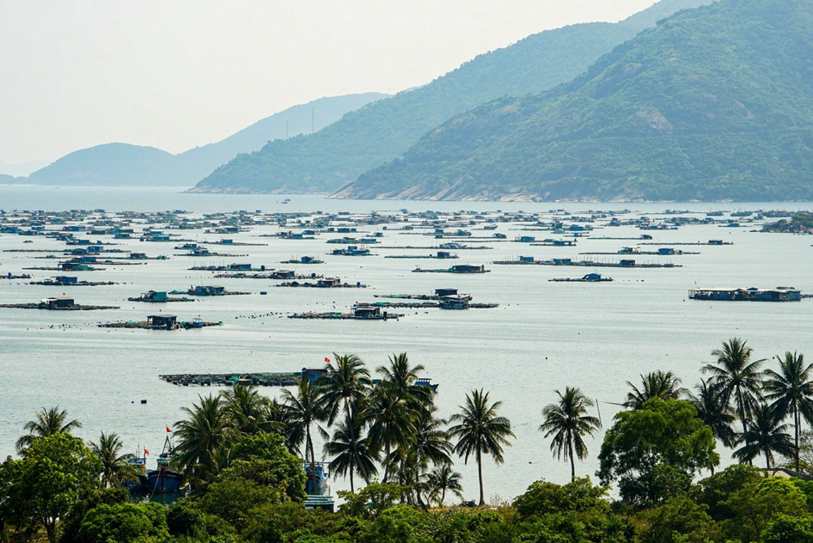 ALBA aprova projetos para o sul da Bahia