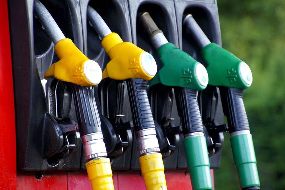 Embrapa apresentou novas variedades de cacau com maior resistência